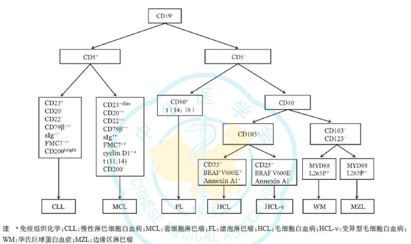 图文图片
