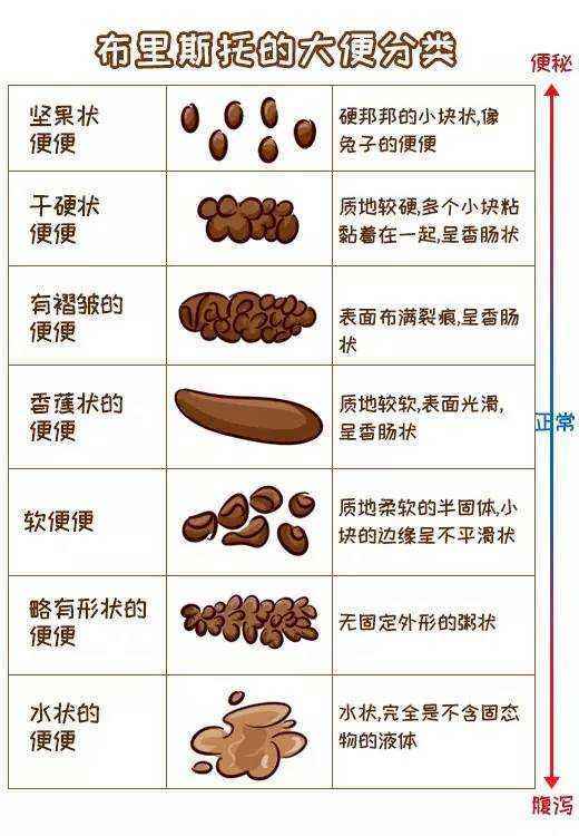 便秘不只是大便困難那麼簡單熱談之便秘篇一