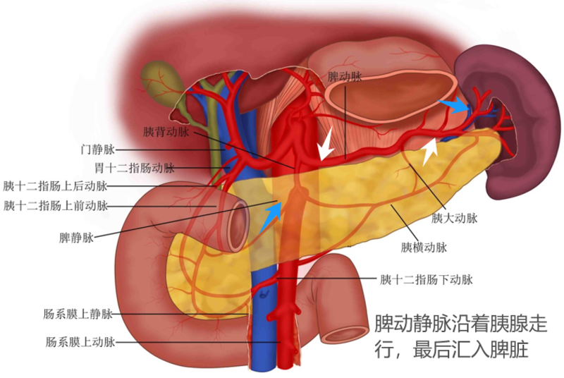 圖文圖片