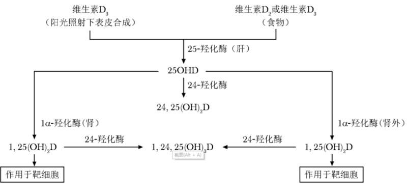圖文圖片