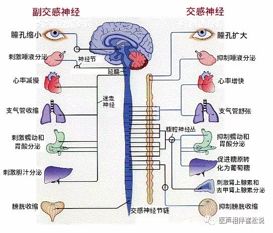 图文图片