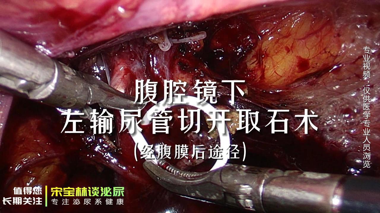 图文图片