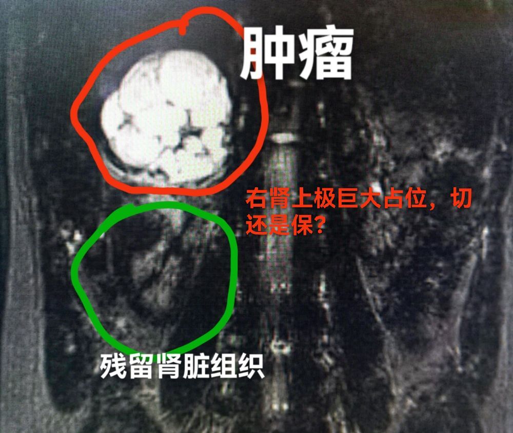 图文图片