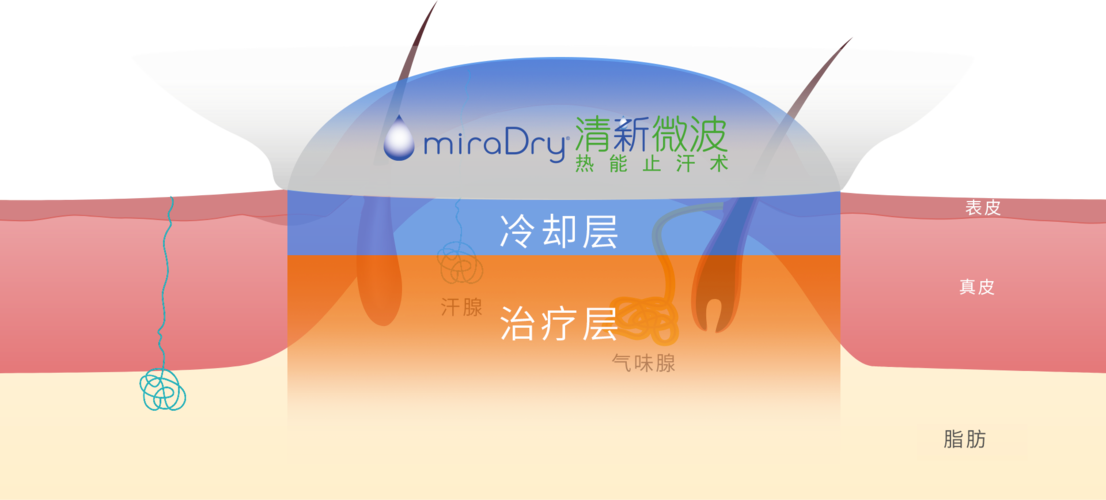 图文图片