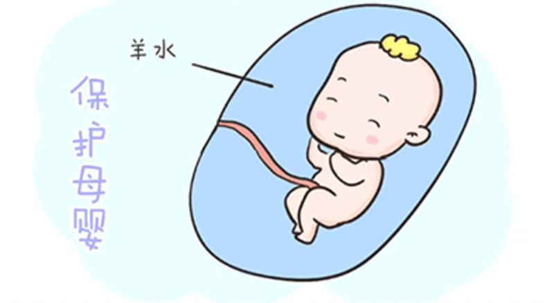 圖文圖片
