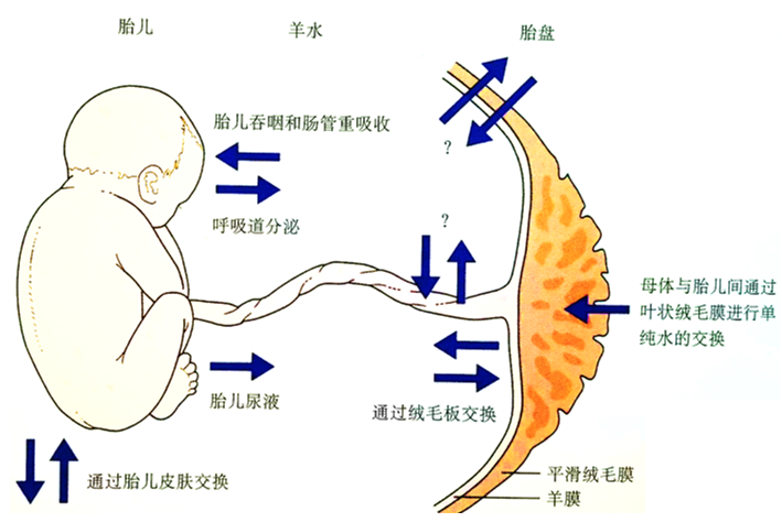 圖文圖片