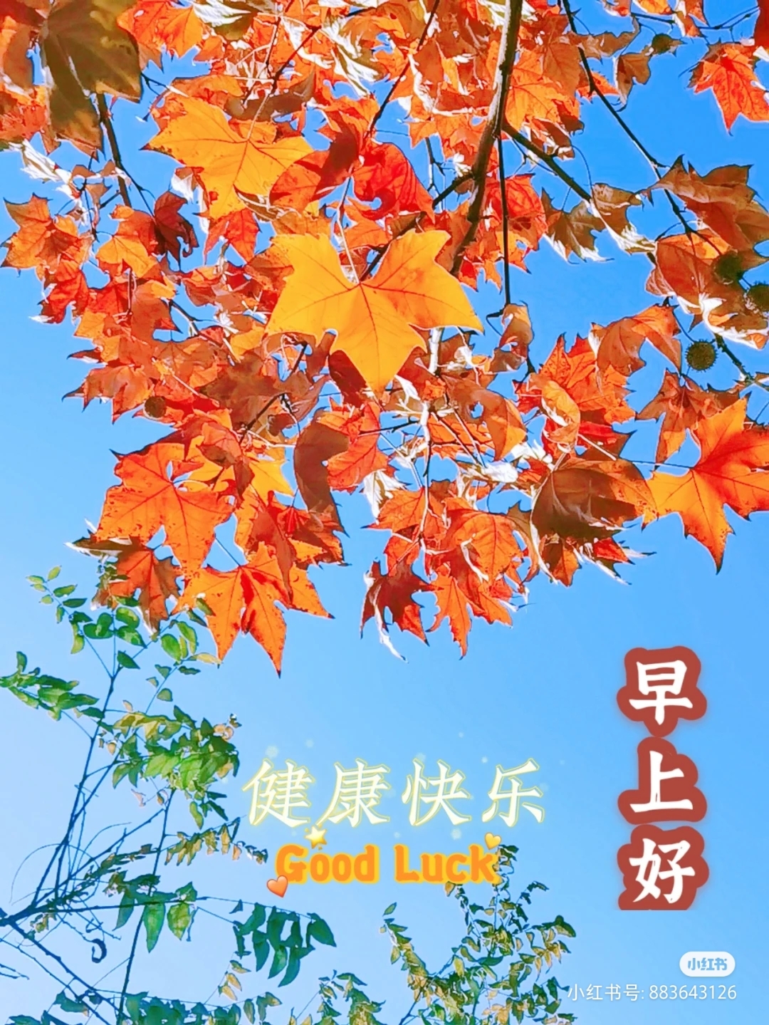 图文图片