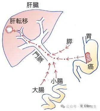 图文图片