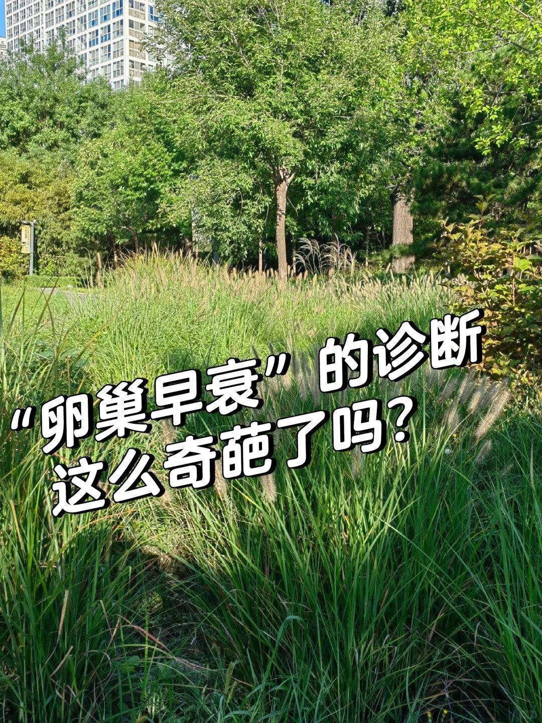 图文图片
