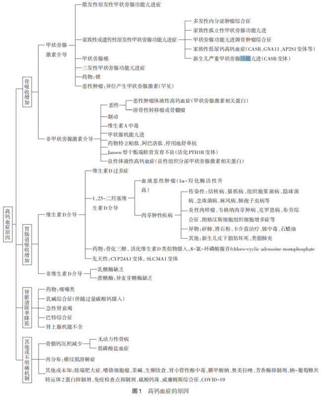 图文图片