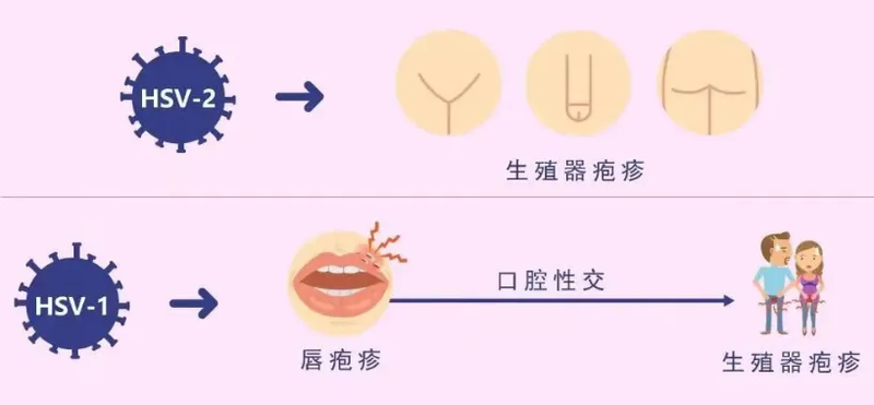 图文图片