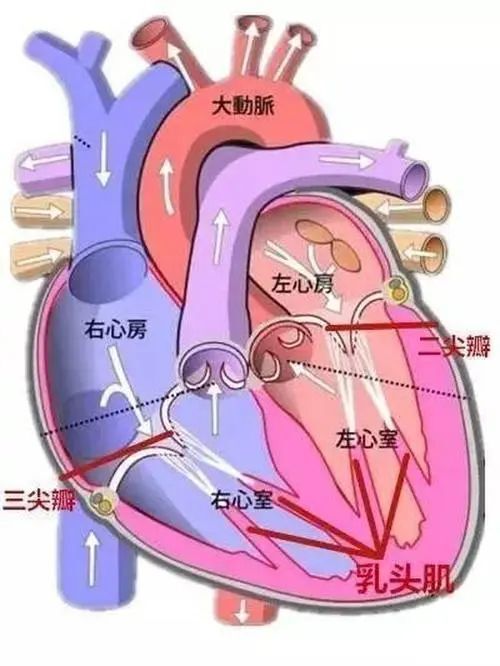 图文图片