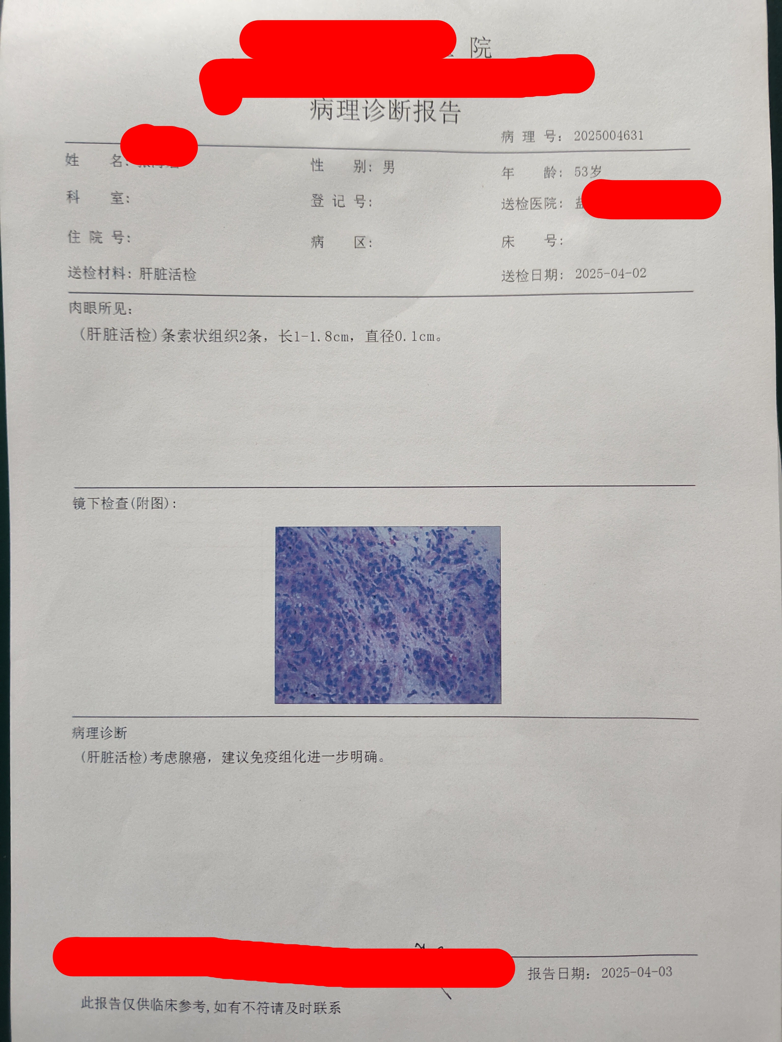 图文图片