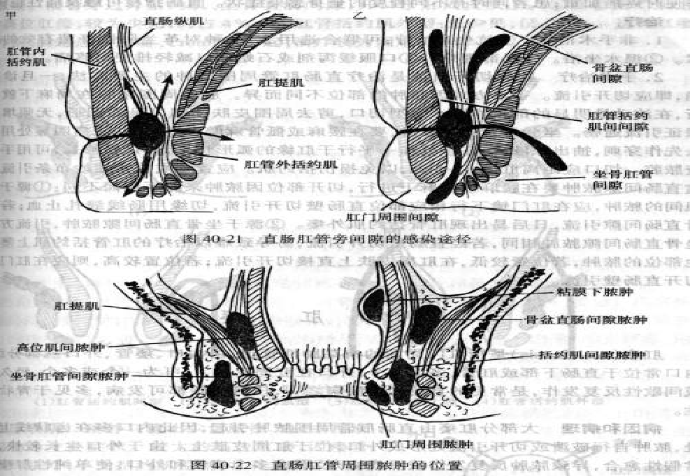 m.haodf.com