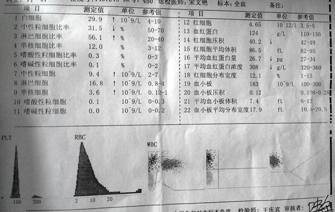 单核细胞计数偏高 mip.haodf.com